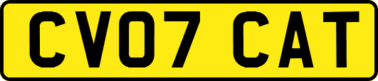 CV07CAT