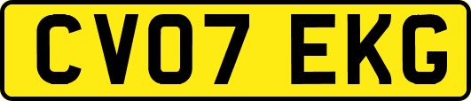 CV07EKG