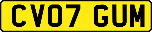 CV07GUM