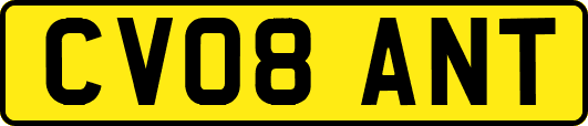 CV08ANT