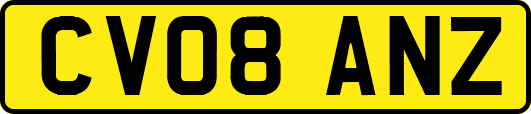 CV08ANZ