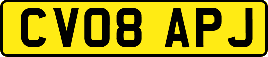 CV08APJ