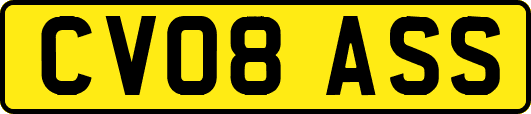 CV08ASS