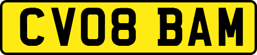 CV08BAM