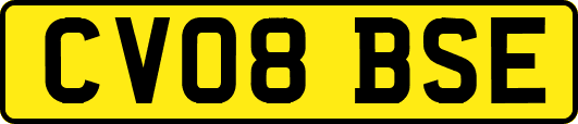 CV08BSE