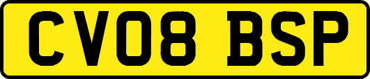 CV08BSP