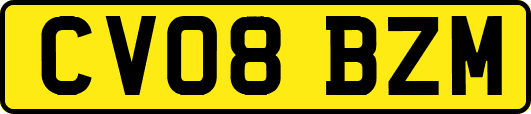 CV08BZM