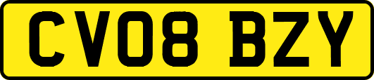 CV08BZY