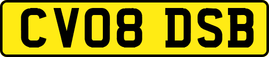 CV08DSB