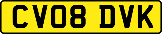 CV08DVK
