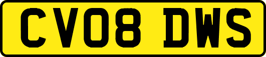 CV08DWS