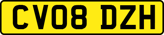 CV08DZH