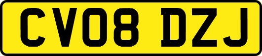 CV08DZJ