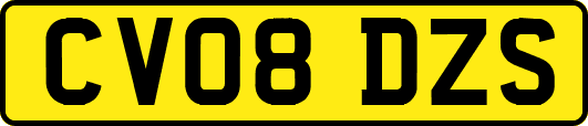 CV08DZS