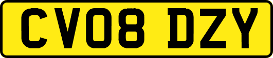CV08DZY