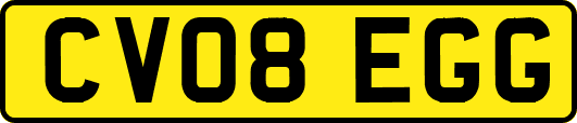 CV08EGG