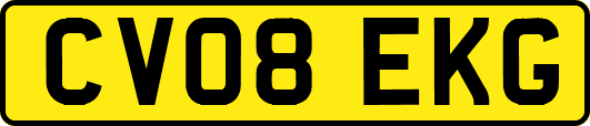 CV08EKG