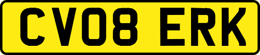 CV08ERK