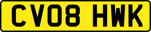 CV08HWK
