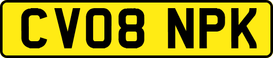 CV08NPK
