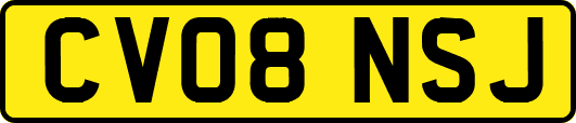 CV08NSJ