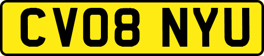 CV08NYU