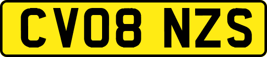 CV08NZS