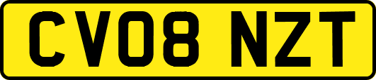 CV08NZT