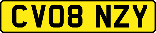 CV08NZY