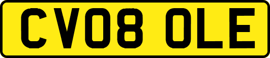 CV08OLE
