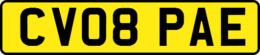 CV08PAE