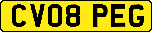 CV08PEG
