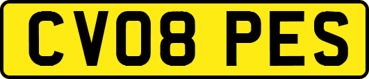 CV08PES