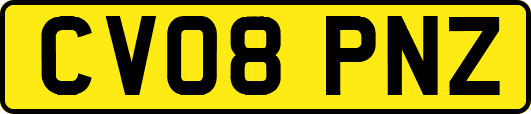 CV08PNZ