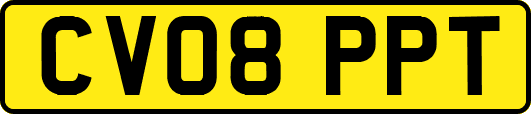 CV08PPT