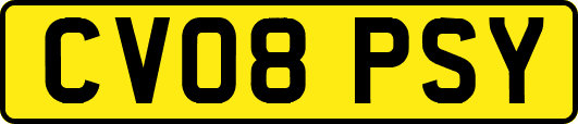 CV08PSY