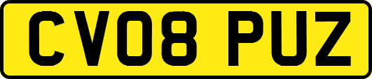 CV08PUZ