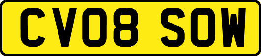 CV08SOW