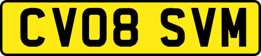 CV08SVM