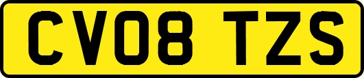 CV08TZS