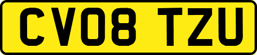 CV08TZU