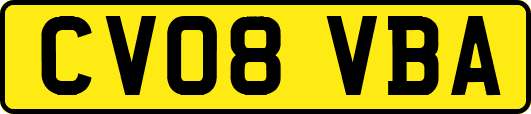 CV08VBA