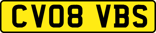CV08VBS