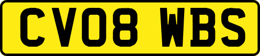 CV08WBS