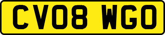 CV08WGO