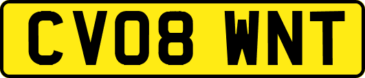 CV08WNT