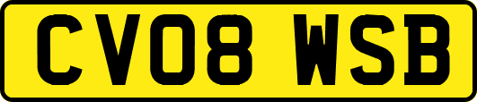 CV08WSB