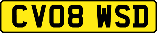 CV08WSD