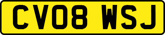 CV08WSJ