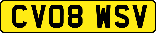 CV08WSV